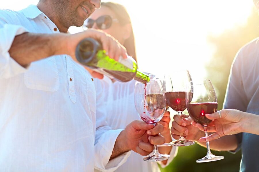 From Albufeira: Wine Tasting & Historic Silves Tour - What the four-hour schedule feels like