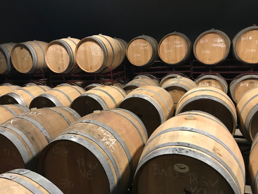 From Albufeira: Wine Tasting & Historic Silves Tour - Who will enjoy this tour most?