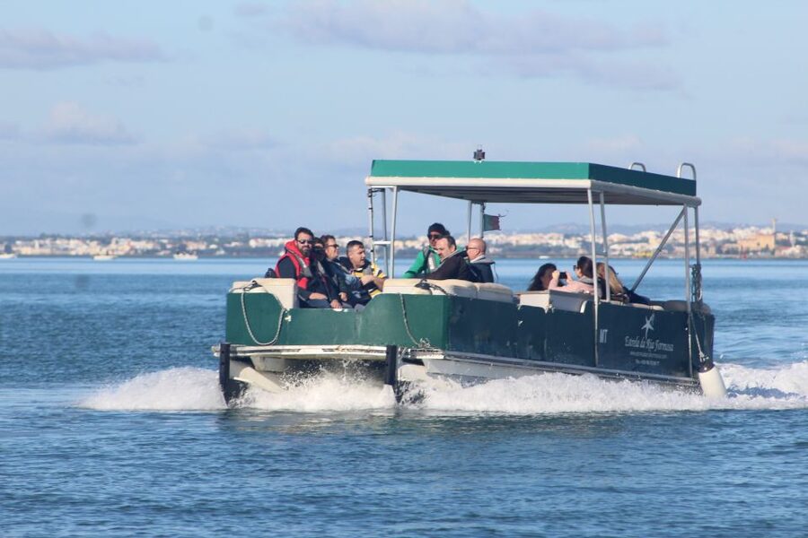 From Faro: 4 Stops, 3 Islands in Ria Formosa Catamaran Tour - What you are really seeing in the Ria Formosa