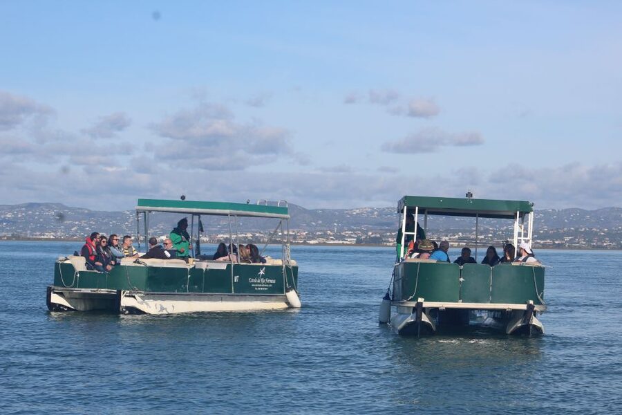 From Faro: 4 Stops, 3 Islands in Ria Formosa Catamaran Tour - Ilha do Farol: lighthouse views and Algarve homes