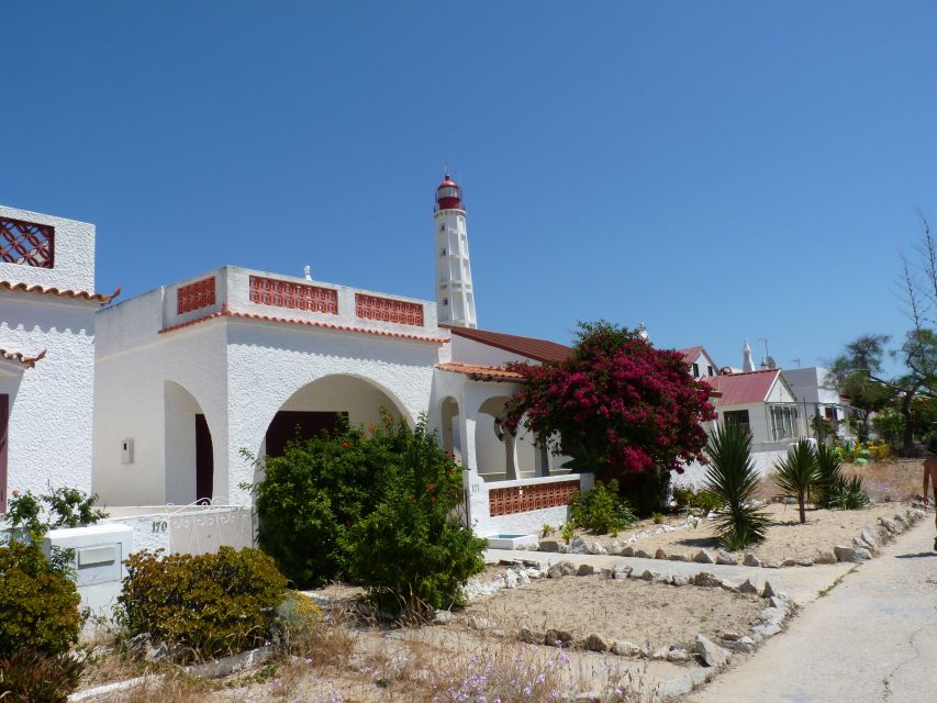 From Faro: 4 Stops, 3 Islands in Ria Formosa Catamaran Tour - Hangares: a 15-minute window into oyster farming