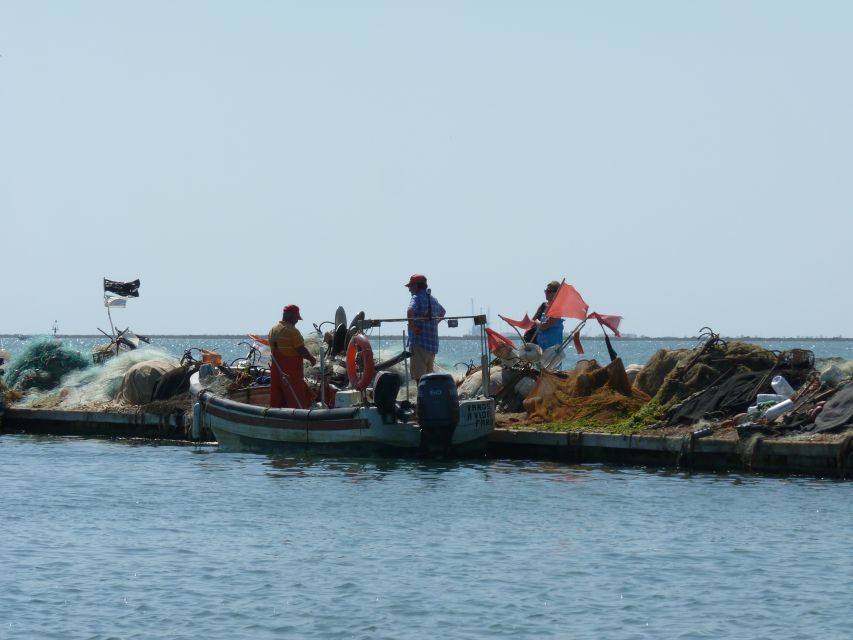 From Faro: 4 Stops, 3 Islands in Ria Formosa Catamaran Tour - How the timing works in real life