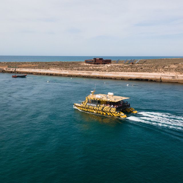 From Faro: Catamaran Boat Trip to Deserta Island with Stop - Key points before you book
