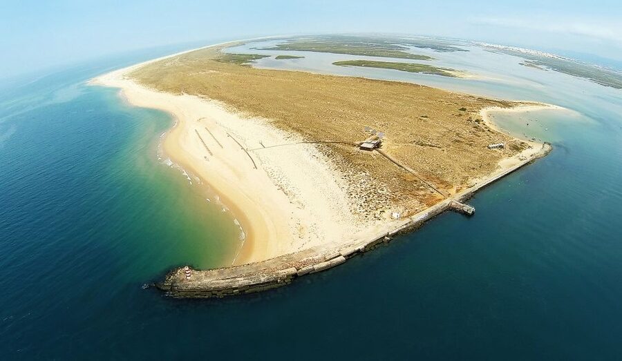 From Faro: Catamaran Boat Trip to Deserta Island with Stop - Walking the two-kilometer boardwalk