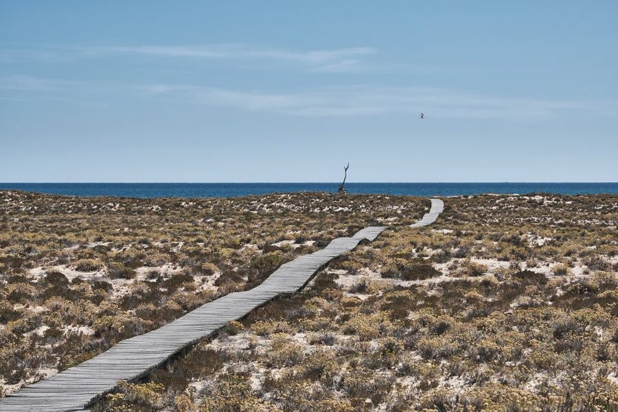 From Faro: Ria Formosa Hop-On Hop-Off 3 Islands Cruise - Farol Island and its lighthouse village