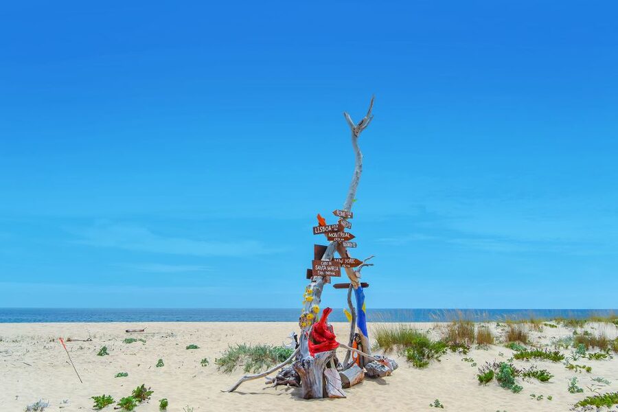 From Faro: Ria Formosa Hop-On Hop-Off 3 Islands Cruise - What you may see between the islands