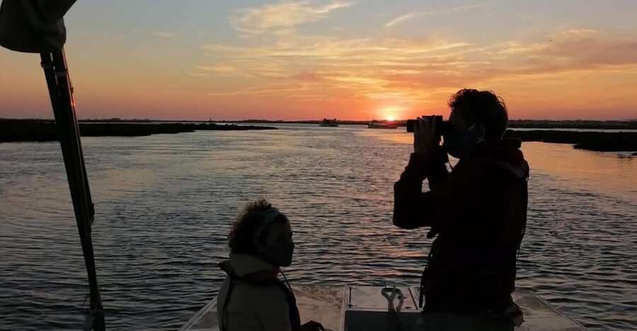From Faro: Ria Formosa Sunset Boat Trip - Setting out from Cais das Portas do Mar