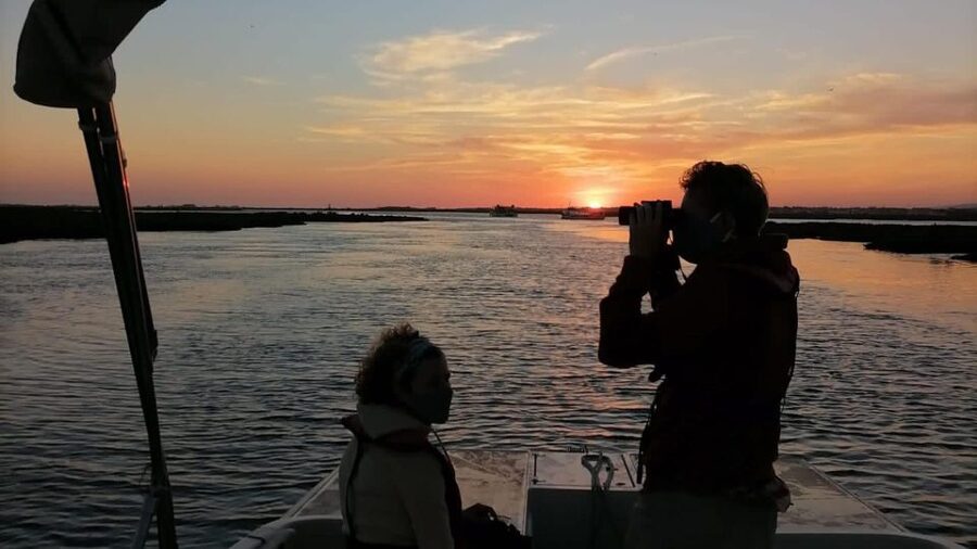 From Faro: Ria Formosa Sunset Boat Trip - Why $35 feels fair for one hour