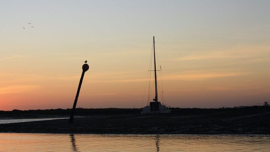 From Faro: Ria Formosa Sunset Boat Trip - Practical tips for a better evening
