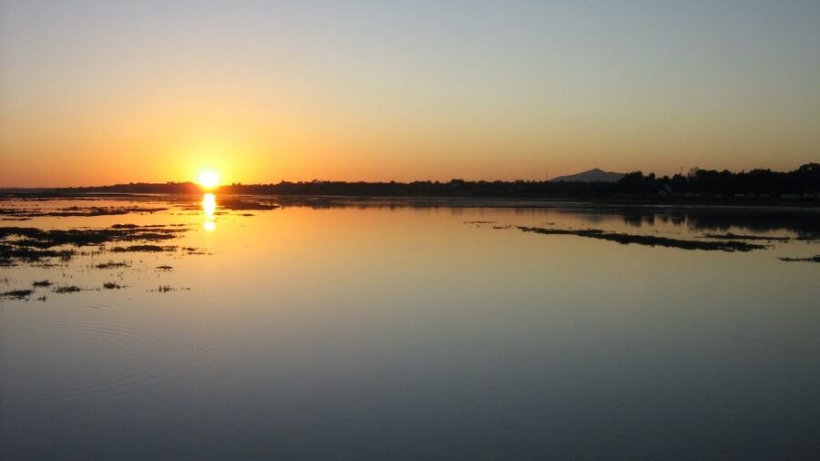 From Faro: Ria Formosa Sunset Boat Trip - Setting out on the one-hour pontoon cruise