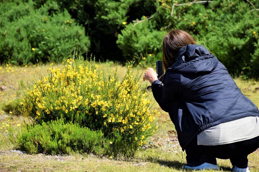 From Funchal: 2-Day Guided Tour of Madeira - Seixal and São Vicente add waterfalls and north coast scenery