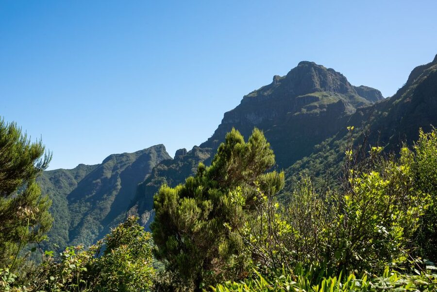 From Funchal: Best of Madeira's West Tour - Seixal and the Bridal Veil waterfall