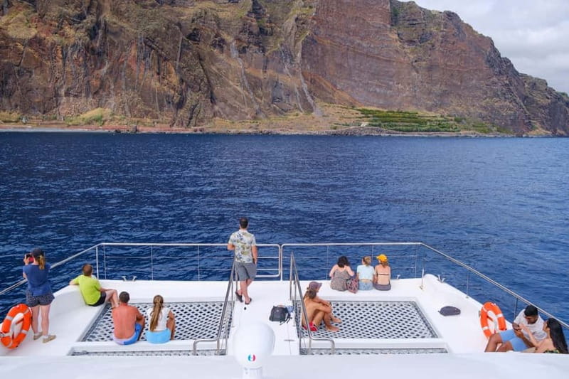 From Funchal: Ecological Catamaran Dolphin Whale Watching - Finding marine life with help from shore