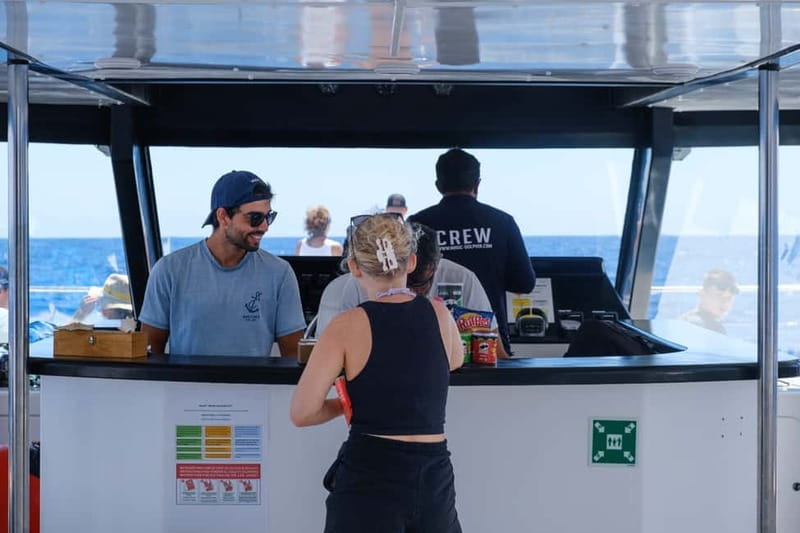 From Funchal: Ecological Catamaran Dolphin Whale Watching - Offshore wildlife search, then Cabo Girão