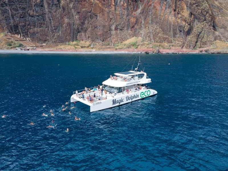 From Funchal: Ecological Catamaran Dolphin Whale Watching - The catamaran layout and onboard comfort