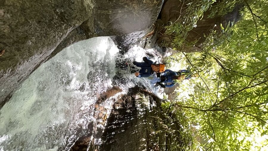 From Funchal: Intermediate Canyoning Adventure (Level 2) - Who should book this Madeira canyoning trip?