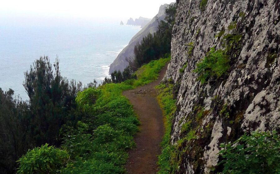 From Funchal: Machico to Porto da Cruz Larano Cliff Hike - The Larano Cliff section, where the views become serious