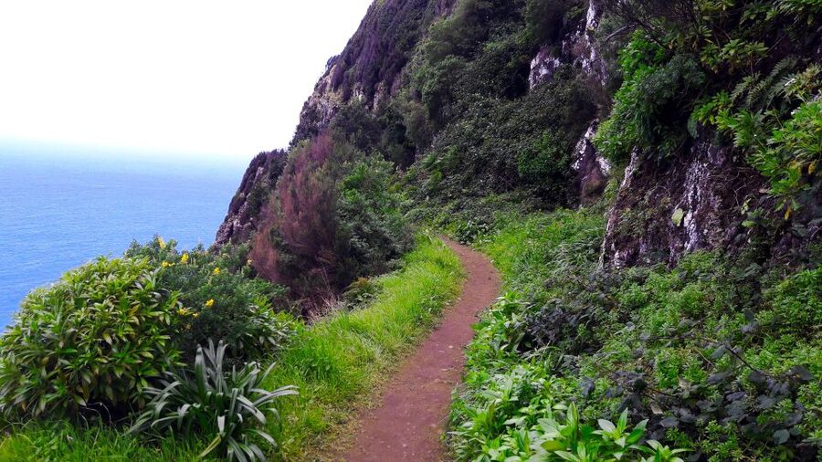 From Funchal: Machico to Porto da Cruz Larano Cliff Hike - What the guide adds to the day