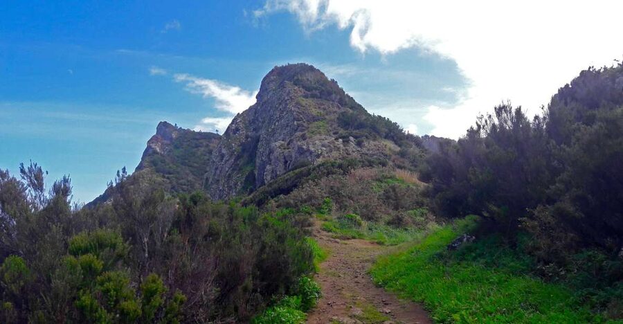 From Funchal: Machico to Porto da Cruz Larano Cliff Hike - Farms, levadas, and Madeira’s working countryside