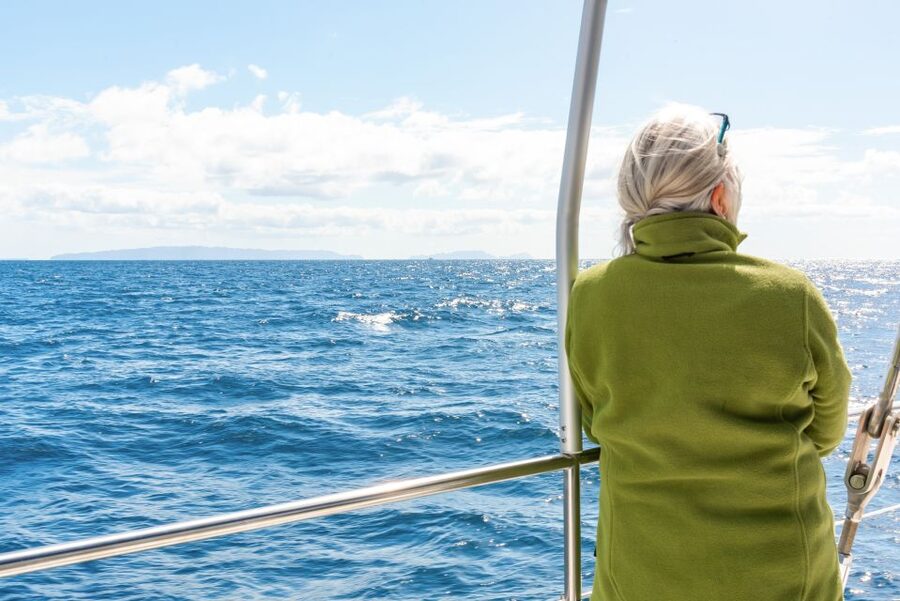 From Funchal: Madeira Dolphin and Whale Watching Tour - Key points to know before you book