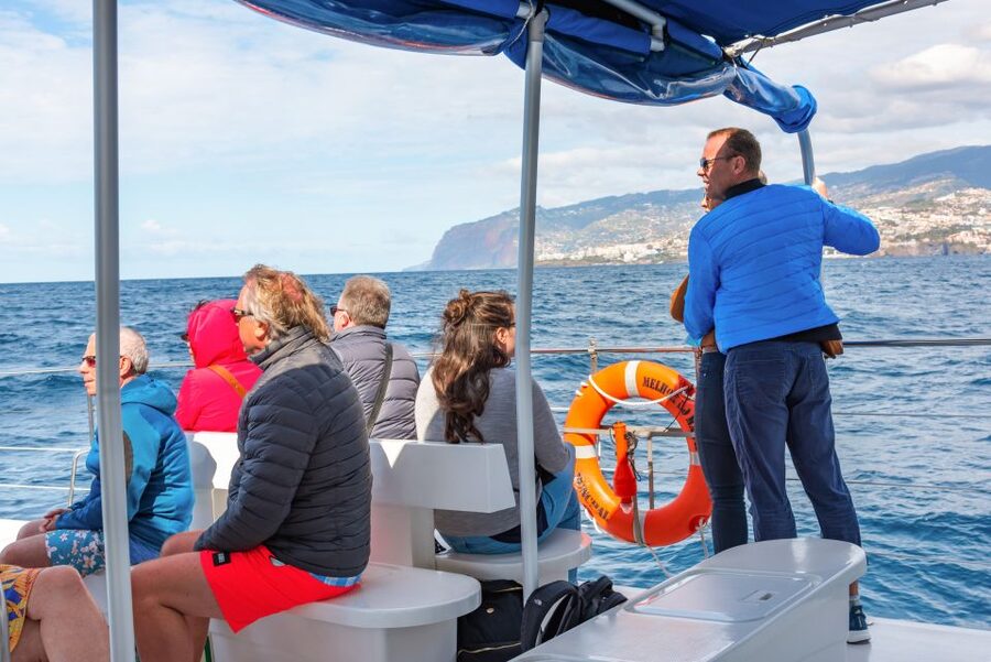 From Funchal: Madeira Dolphin and Whale Watching Tour - Should you book the Madeira dolphin and whale tour?