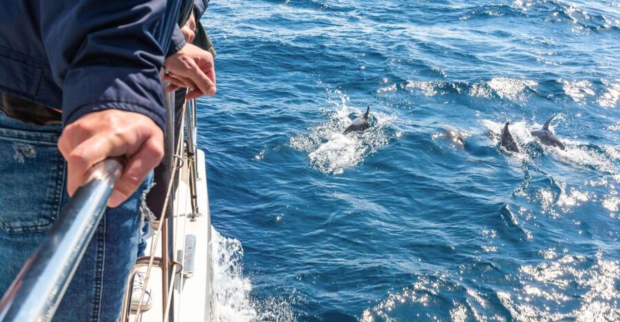 From Funchal: Madeira Dolphin and Whale Watching Tour - The Cabo Girão stop beneath Madeira’s highest cliffs