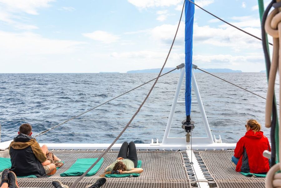 From Funchal: Madeira Dolphin and Whale Watching Tour - Timing, weather, and the smart way to plan