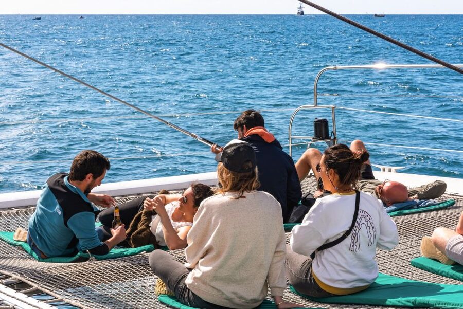 From Funchal: Madeira Dolphin and Whale Watching Tour - Who should book this catamaran trip?