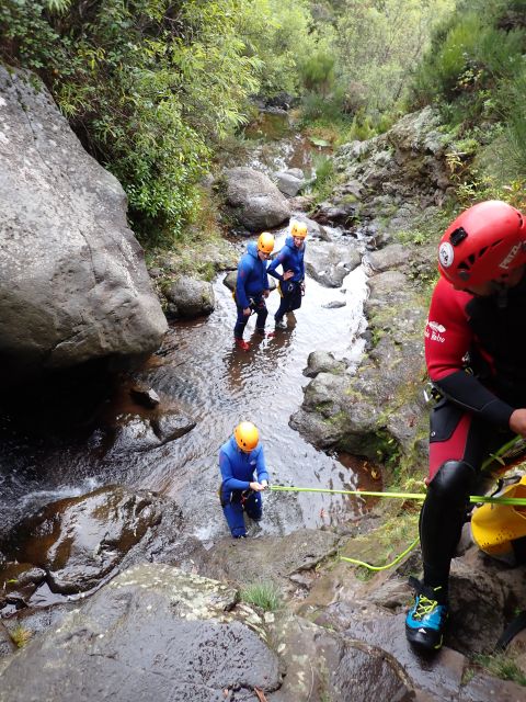 From Funchal: Madeira Island Canyoning for Beginners - Photos and videos add real value