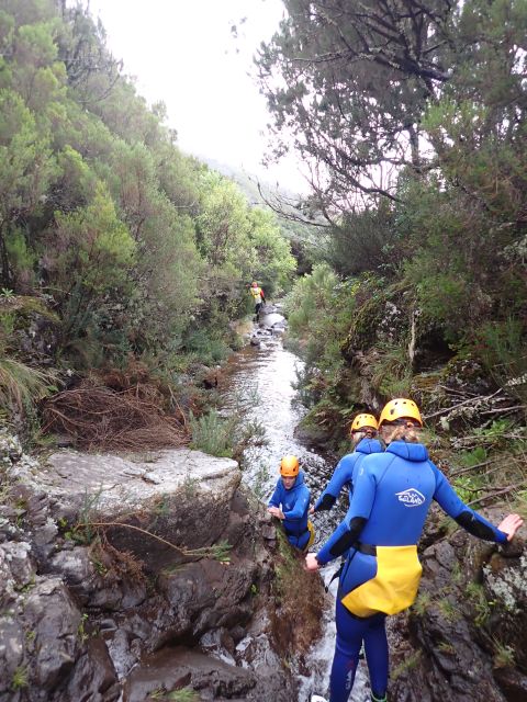 From Funchal: Madeira Island Canyoning for Beginners - Who should book this beginner route?
