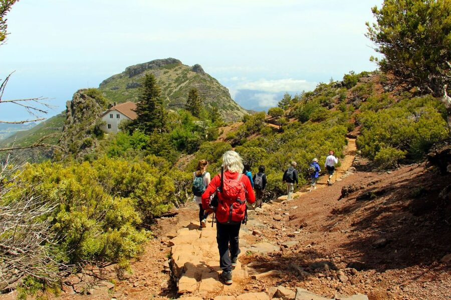 From Funchal: Madeira Peaks Mountain Walk - Starting from Funchal and heading for the high country