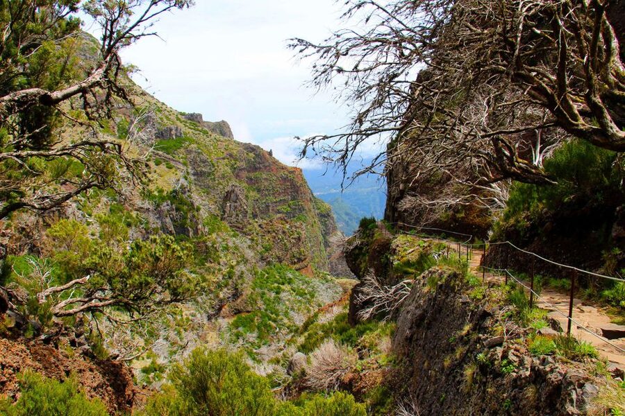 From Funchal: Madeira Peaks Mountain Walk - Reaching Pico Ruivo, Madeira’s highest point
