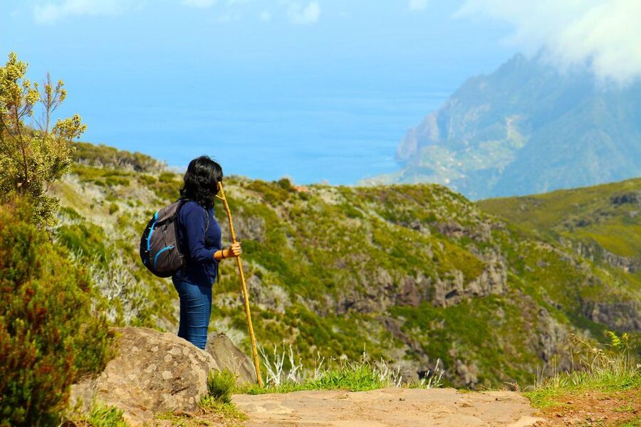 From Funchal: Madeira Peaks Mountain Walk - Ancient heather forest and Madeira’s plant life