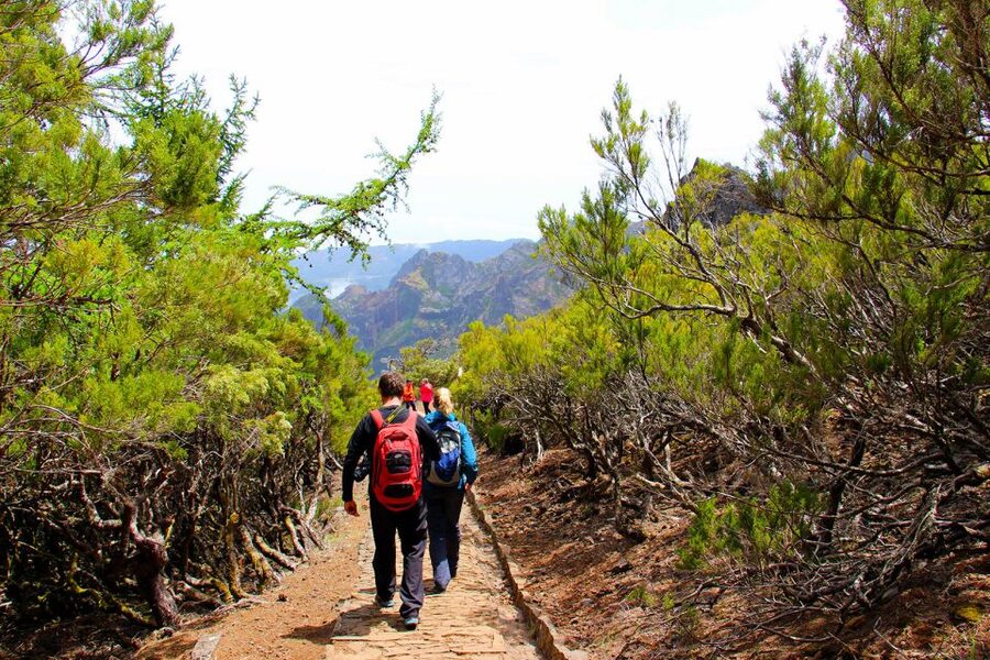 From Funchal: Madeira Peaks Mountain Walk - What happens when mountain weather turns bad