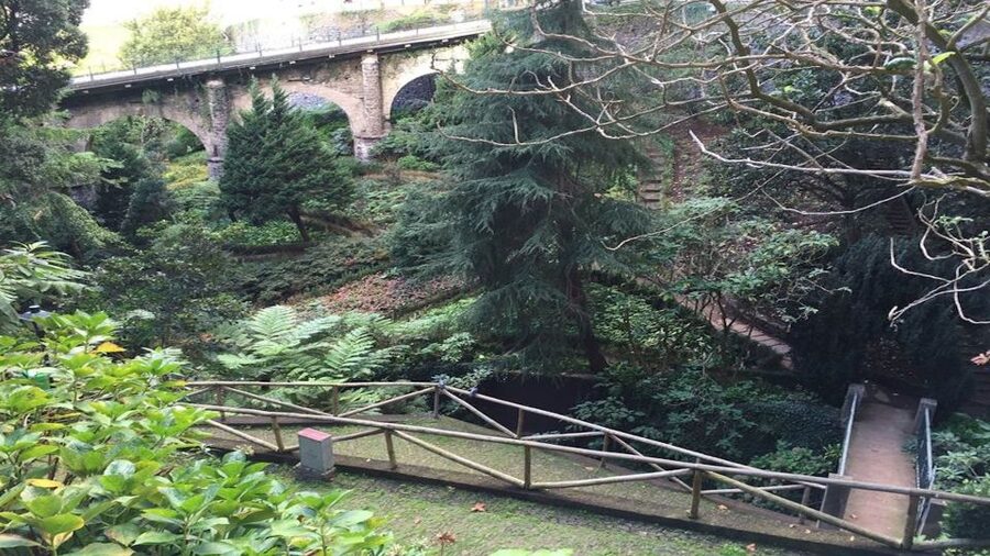 From Funchal: Nuns Valley, Monte and Sleigh Ride Tour - Why this half-day tour works well