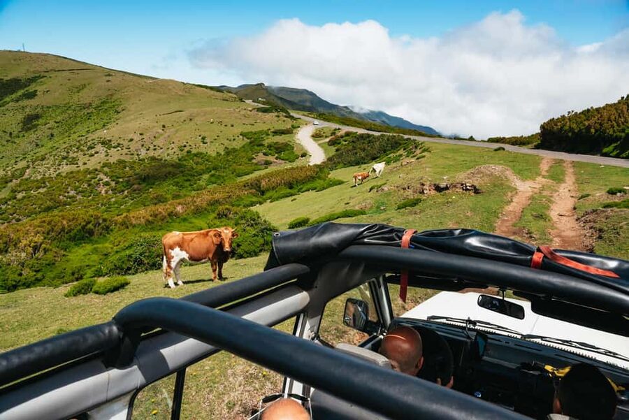 From Funchal: Porto Moniz and Seixal Day Tour by Jeep - Seixal and the Bridal Veil Falls