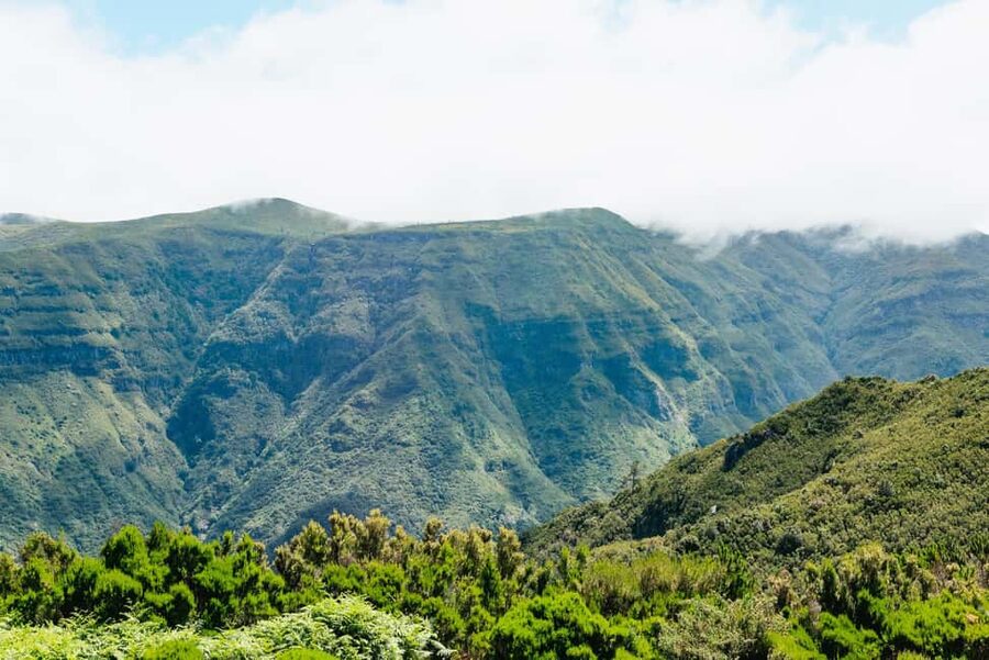From Funchal: Porto Moniz and Seixal Day Tour by Jeep - What $66 gets you, and what it does not