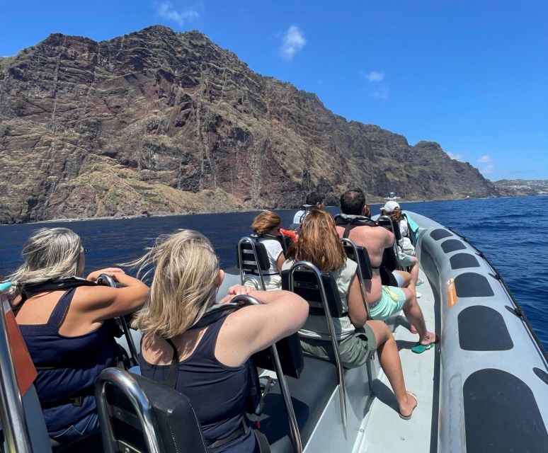 From Funchal: Whale and Dolphin Watching - Key Things to Know Before You Go