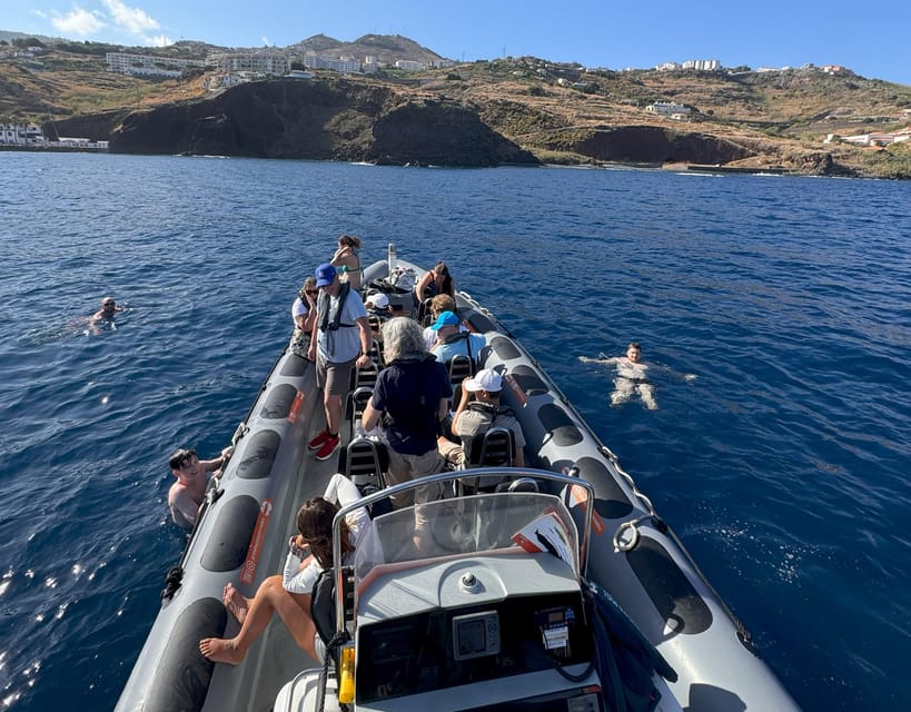 From Funchal: Whale and Dolphin Watching - What the Two-Hour Boat Cruise Feels Like
