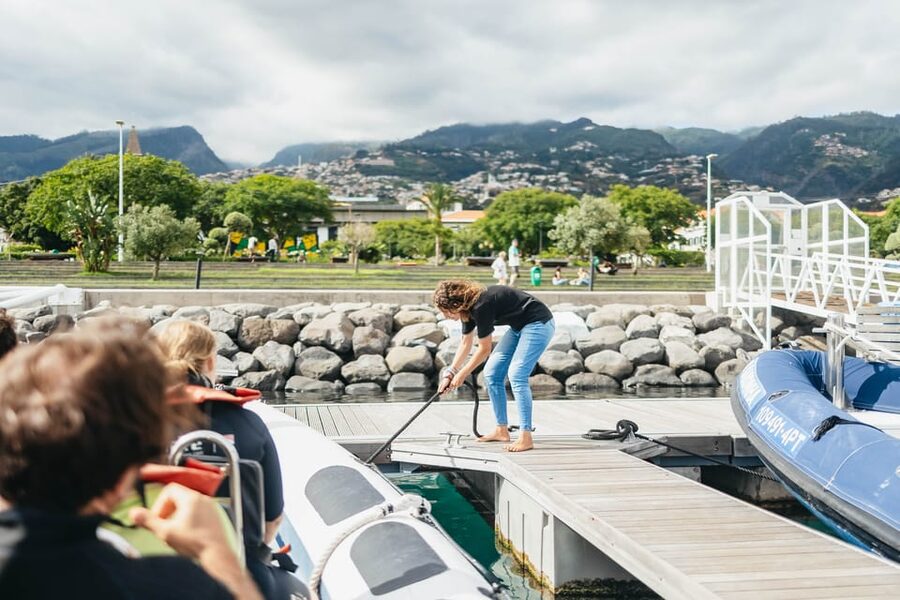 From Funchal: Whales and Dolphin Adventure Tour - Key points at a glance