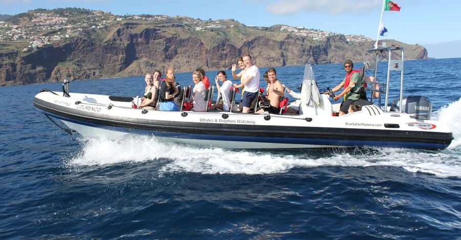 From Funchal: Whales and Dolphin Adventure Tour - Leaving Funchal Marina with room to look around