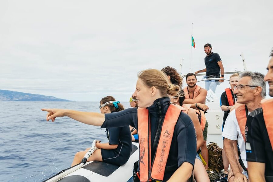 From Funchal: Whales and Dolphin Adventure Tour - Weather cancellations and the wildlife guarantee
