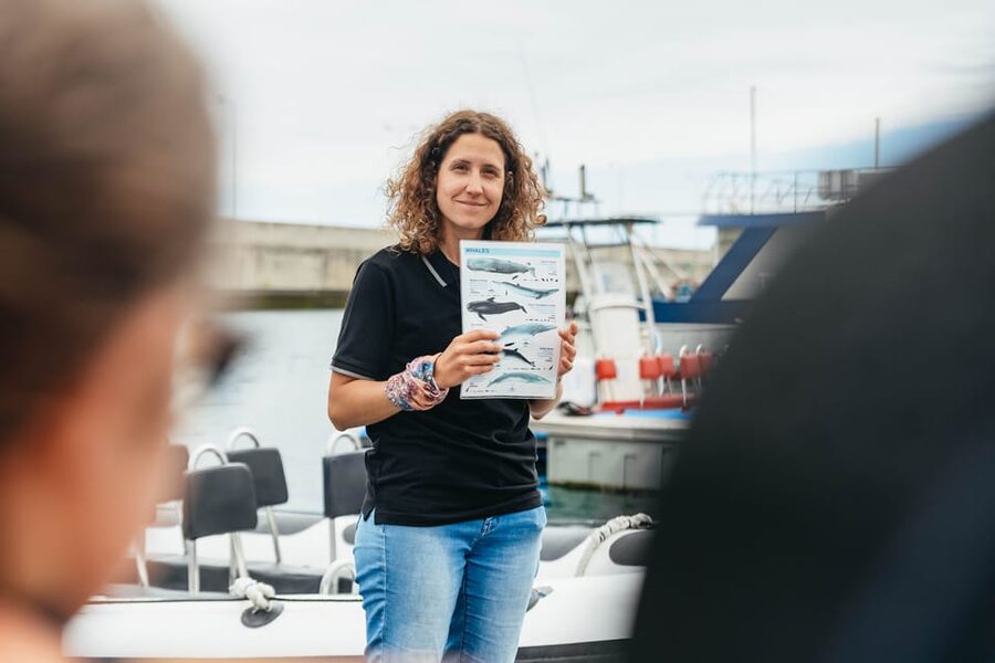 From Funchal: Whales and Dolphin Adventure Tour - Is $58 good value for two hours?