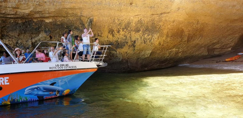 From Lagos: Benagil Caves Catamaran Cruise - Setting out from Lagos Marina