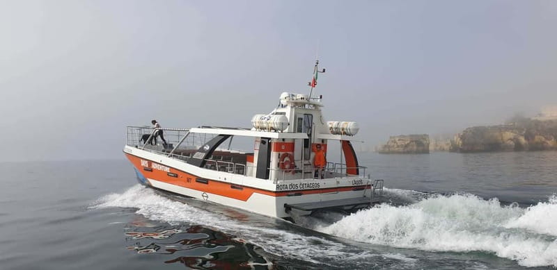 From Lagos: Benagil Caves Catamaran Cruise - Is $38 a fair price?