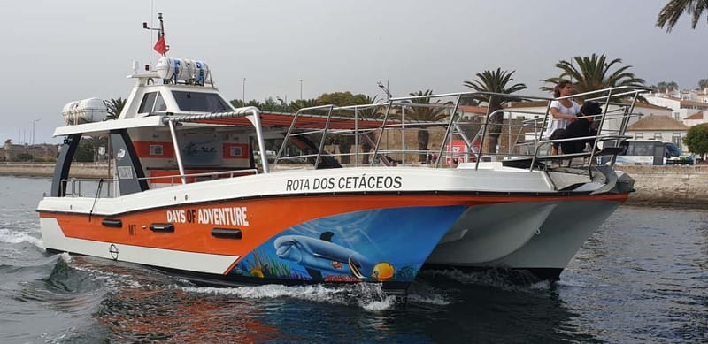 From Lagos: Benagil Caves Catamaran Cruise - Who should book this cruise?