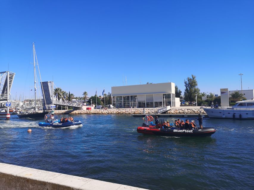 From Lagos: Dolphin Watching Boat Trip w/Marine Biologists - Who will enjoy this trip most?