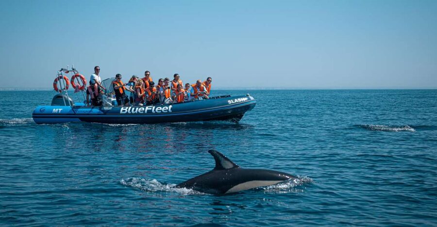 From Lagos: Dolphin Watching Boat Trip w/Marine Biologists - Setting out from Lagos Train Station