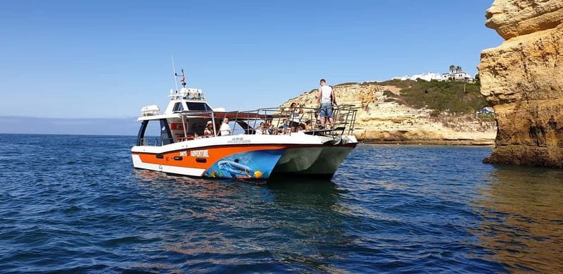 From Lagos: Dolphin Watching Catamaran Cruise - Cliffs, beaches, and the Benagil Cave route
