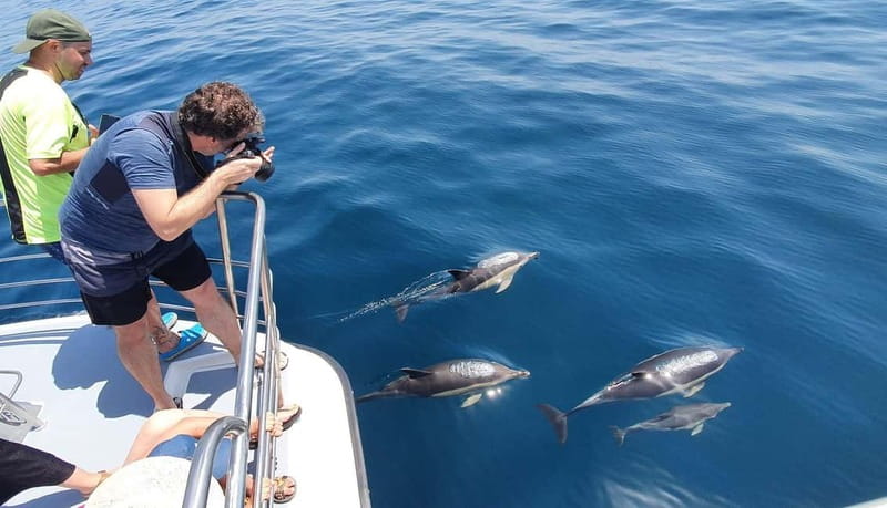 From Lagos: Dolphin Watching Catamaran Cruise - What the boat feels like on the water